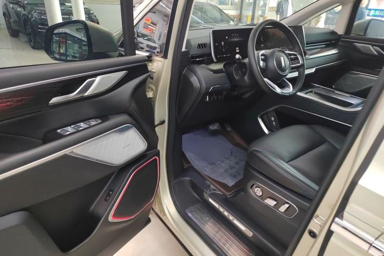 Used Wey Gaoshan 2023 Four-Wheel Drive Flagship Edition Driver Seat