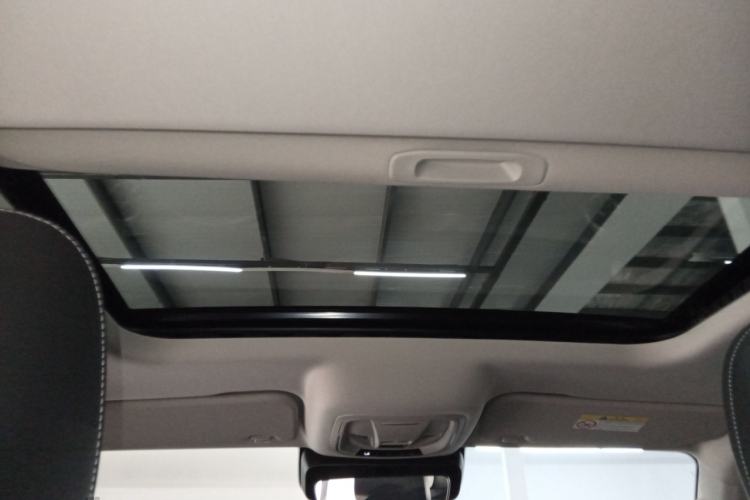 Used Tank 300 2024 2.0T Conqueror