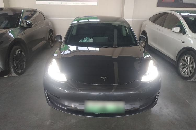 Used Tesla Model 3 (Import) 2019 Long-Range Rear-Wheel-Drive Version
