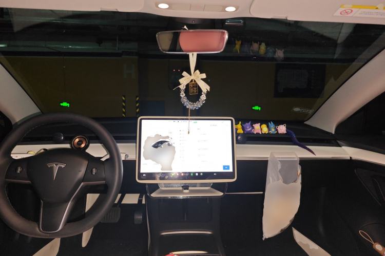 Used Tesla Model 3 2022 Rear-Wheel-Drive Version