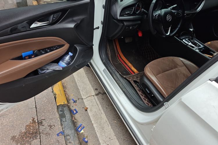 Used Buick Regal 2019 20T Elite Version China VI Standard