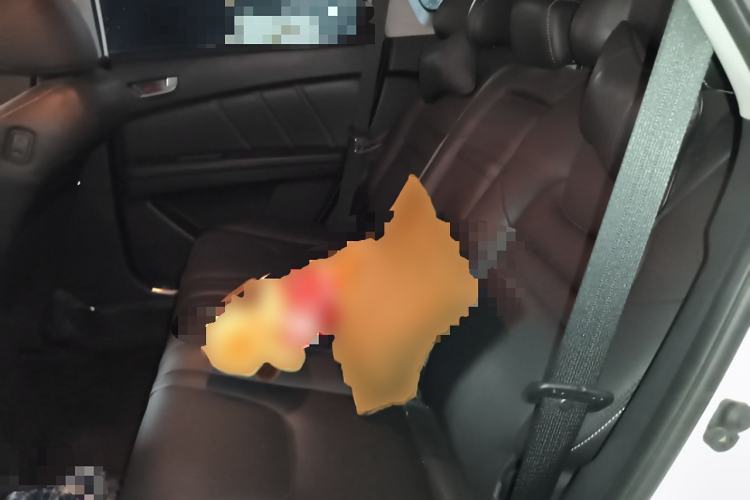 Used Luxgen U6 SUV 2014 2.0T ZhiZun Model