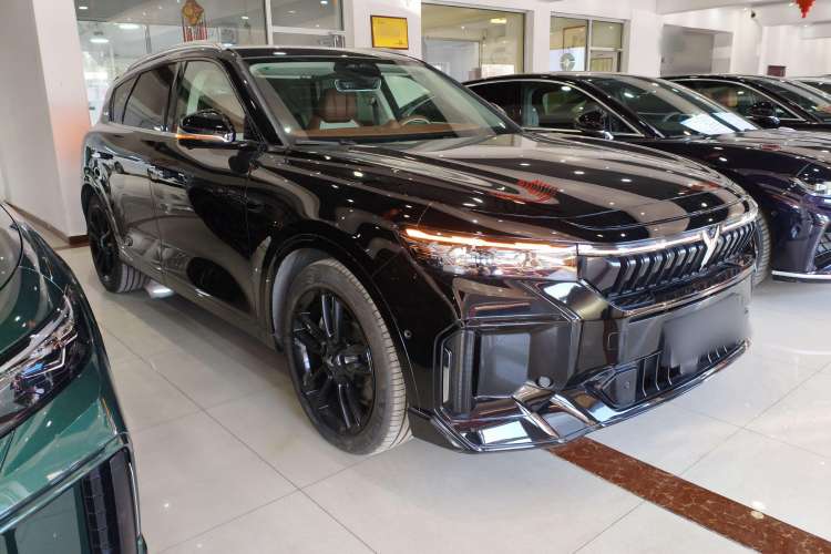 Used VOYAH FREE 2024 Ultra-Long Range Intelligent Driving Version