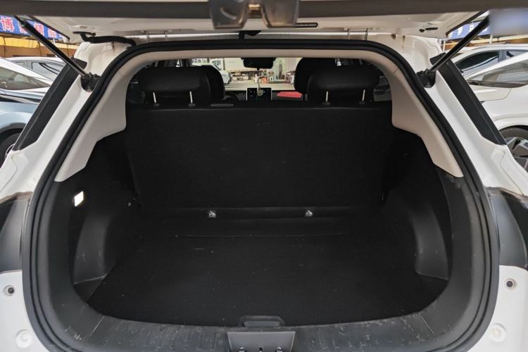 Used NETA V 2021 Co-sport Magic Edition