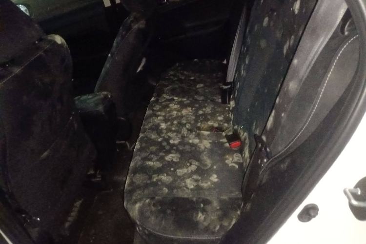 Used Lexus CT 2014 CT200h Elite Edition Monochrome Left Rear Seat