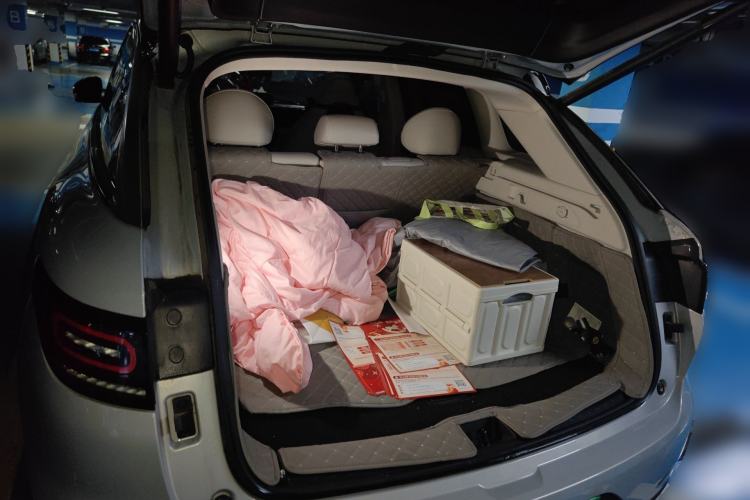 Used Leapmotor C11 2023 Pure Electric 500 Smart Edition