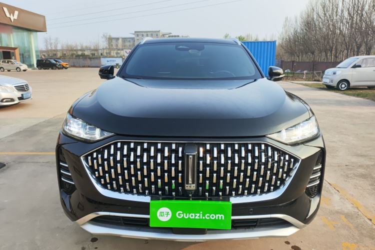 Used Wey Mocha 2021 2.0T Four-Wheel Drive Premium Edition
