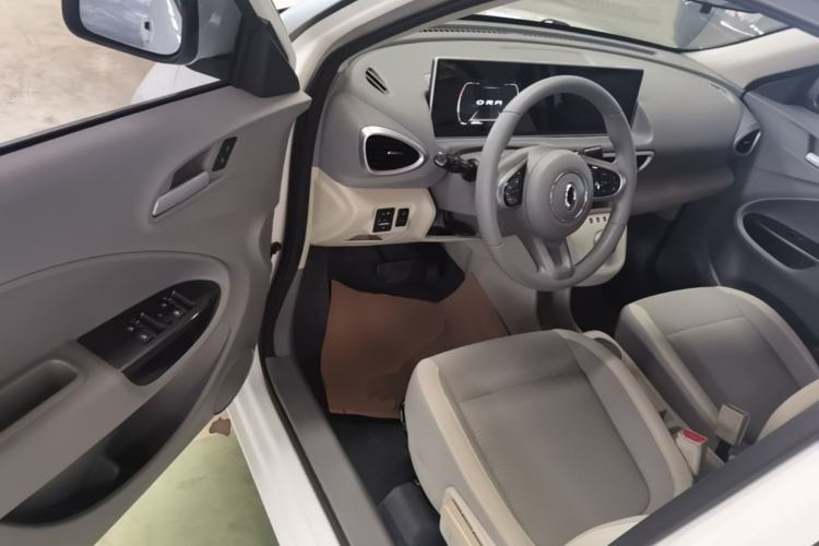 Used ORA White Cat 2020 360 km Luxury Version
