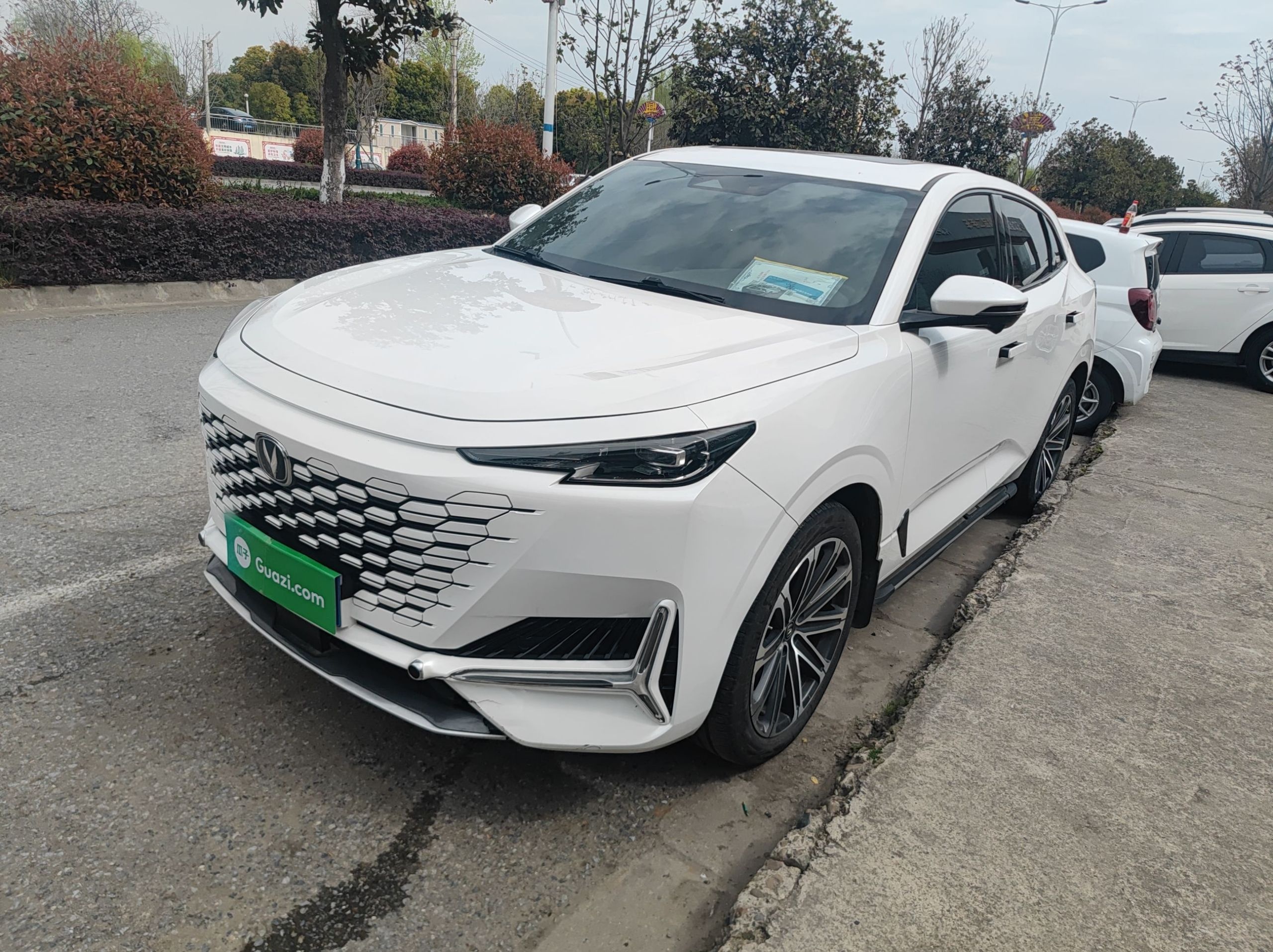 Parte inferior delantera