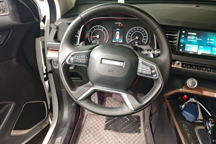 Used Haval H6 2021 1.5T Automatic Champion Edition
