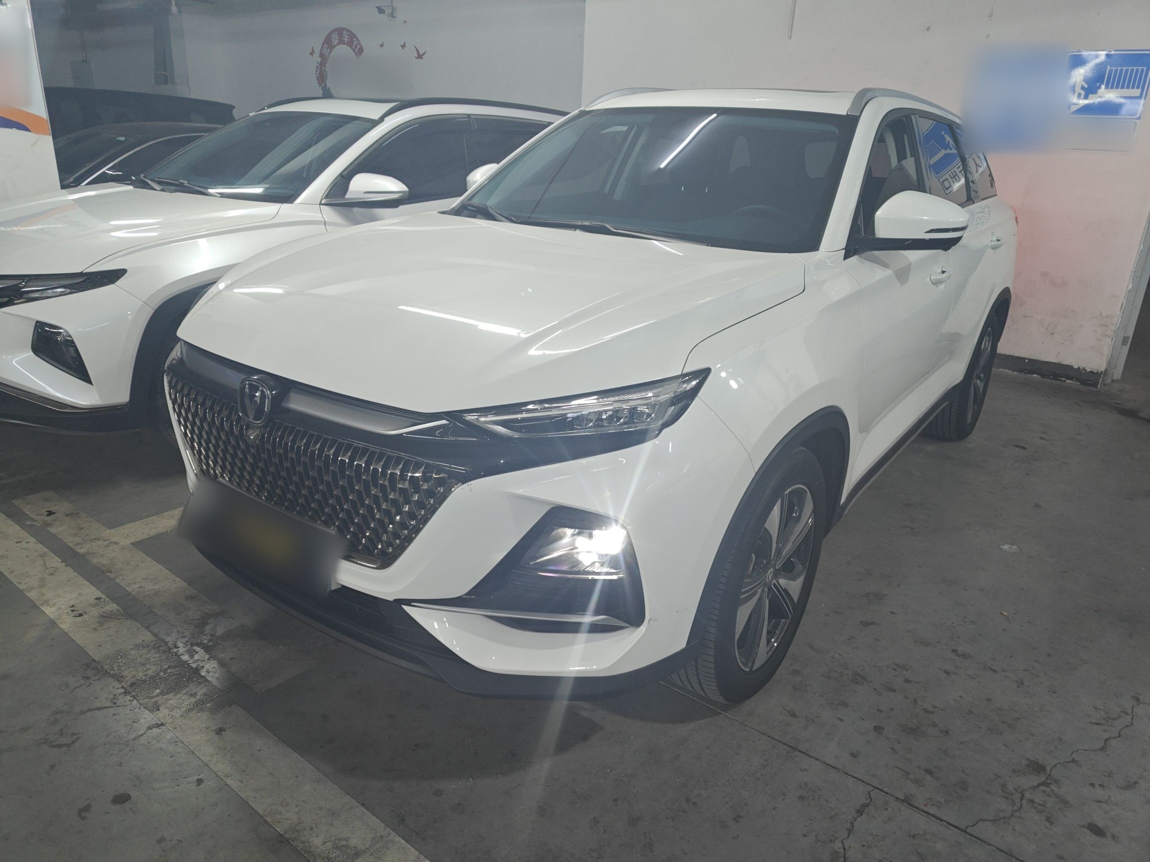 Parte inferior delantera