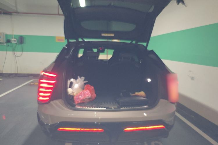 Used HiPhi X 2021 Flagship Edition 6-Seater
