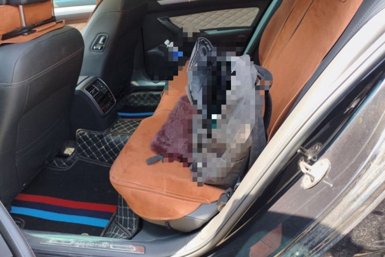 Used Volkswagen Magotan 2023 2 Million Units Commemorative Edition 330TSI DSG Luxury Version Left Rear Seat