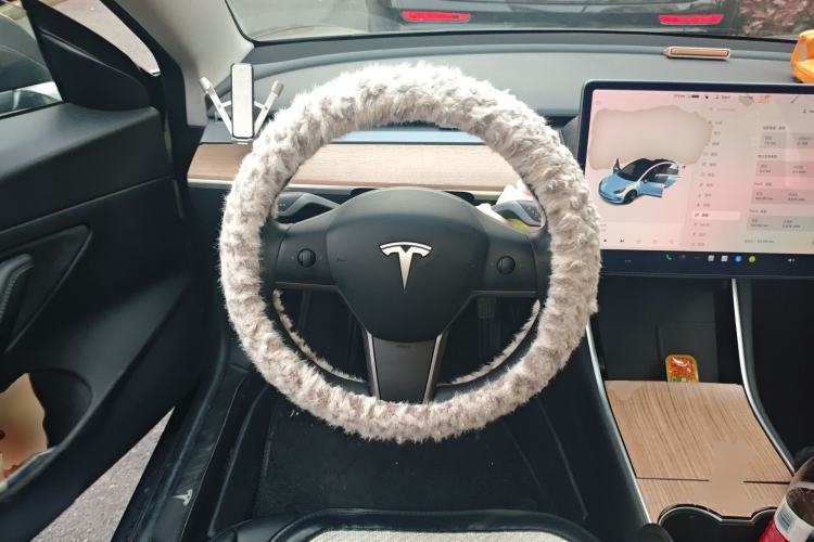 Used Tesla Model 3 2020 Revised Version Standard Range Rear-Wheel Drive – Upgraded Edition