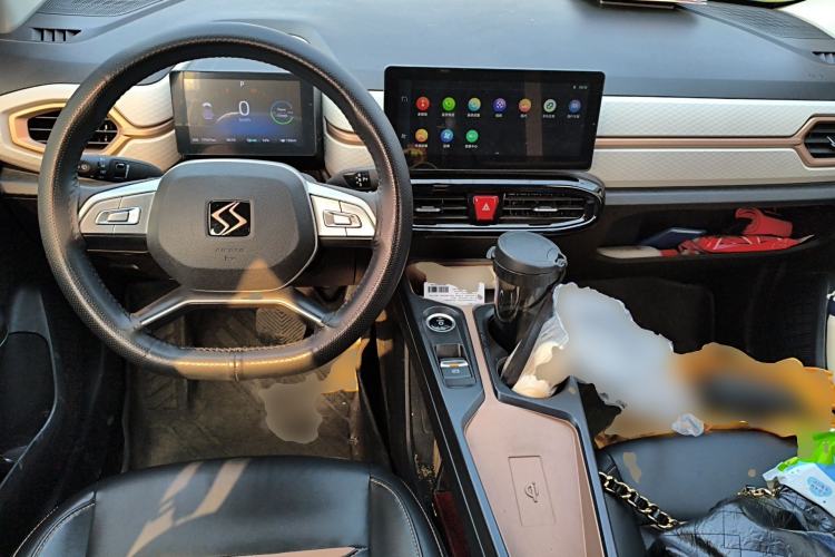 Used SOL E10X 2022 Flower Fairy Design Four-Leaf Clover