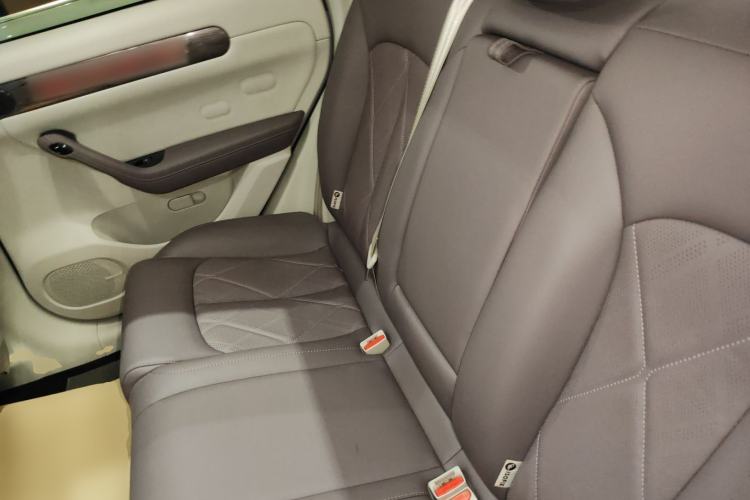 Used Leapmotor C11 2024 Range-Extended 300 Luxury Edition Left Rear Seat