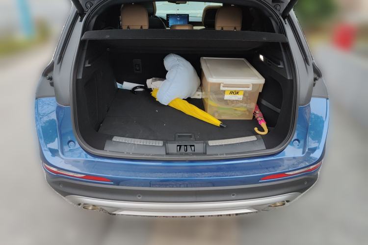 Used Lincoln Corsair 2020 2.0T Two-Wheel Drive Luxury Edition
