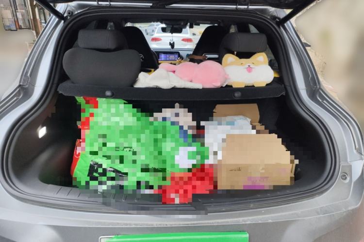 Used ORA Good Cat GT 2023 Mulan Edition 401 km Premium Version