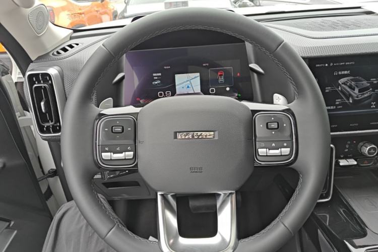 Used Haval DARGO 2022 2.0T DCT 4x4 Chinese Rural Dog Edition