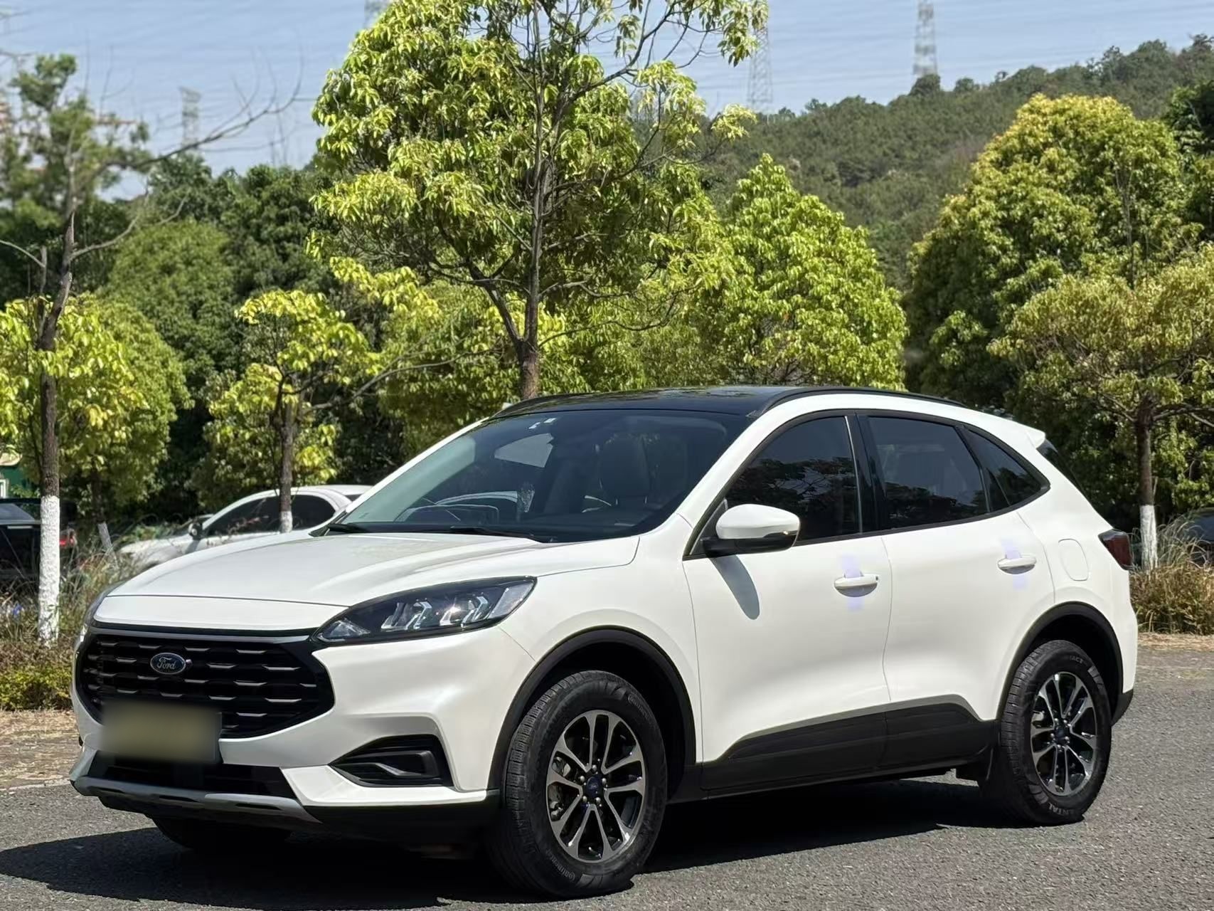 Parte inferior delantera