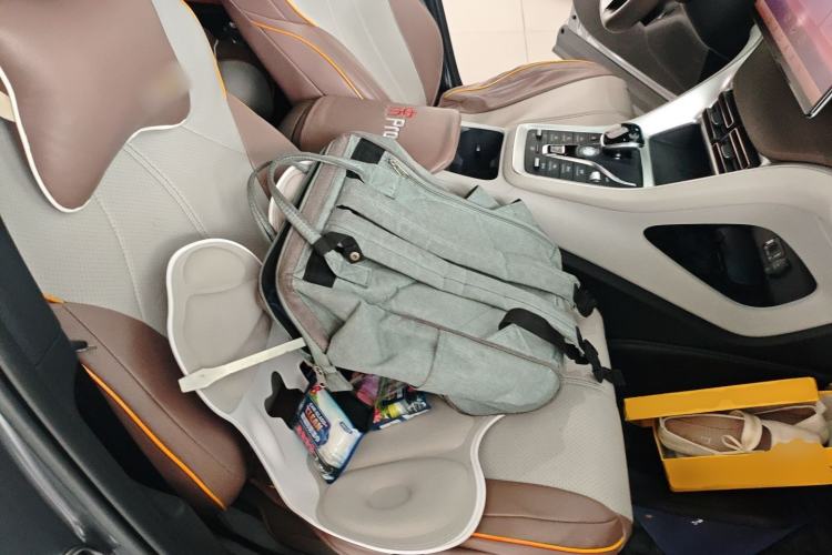 Used BYD Song Pro New Energy 2022 DM-i 110km Flagship Pro Model Right Front Seat