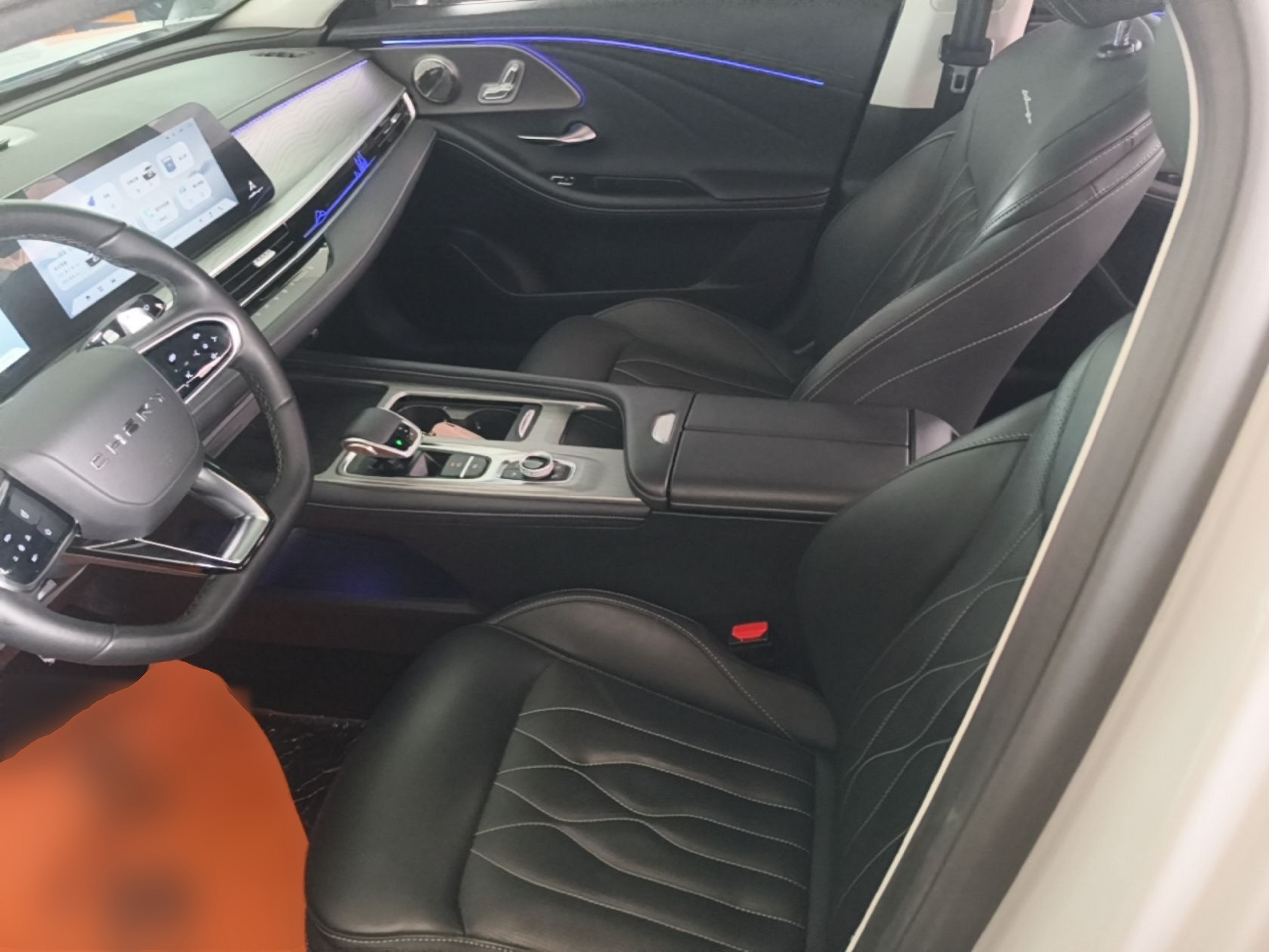 Interior delantero