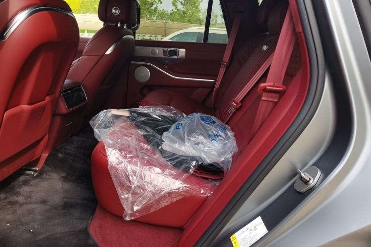 Used Tank 700 New Energy 2024 Hi4-T Extreme Edition Left Rear Seat