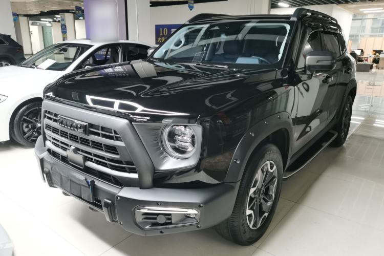 Used Haval DARGO 2024 2.0T DCT Chinese Rural Dog Edition
