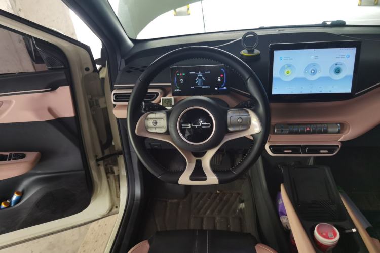 Used BYD Seagull 2023 Free Edition Steering Wheel
