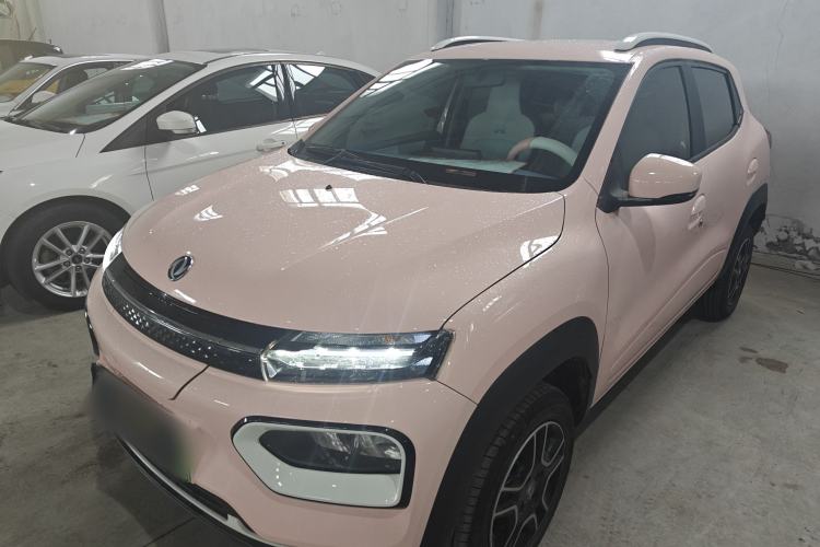 Used Dongfeng NAMMI EX1 2023 PRO Light Wind Edition Lightning Model