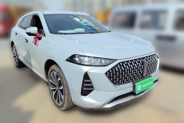 Used Wey Mocha 2021 2.0T Two-Wheel-Drive Premium Edition
