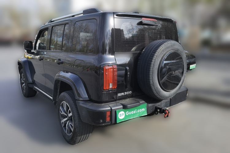 Used Tank 300 2024 2.0T Crosser
