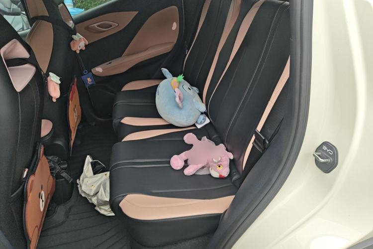 Used BYD Seagull 2023 Active Version
