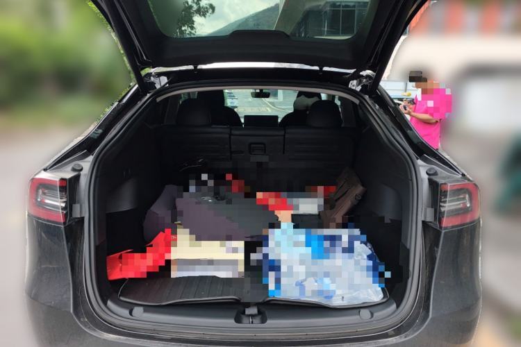 Used Tesla Model Y 2021 Standard Range Rear-Wheel Drive Version
