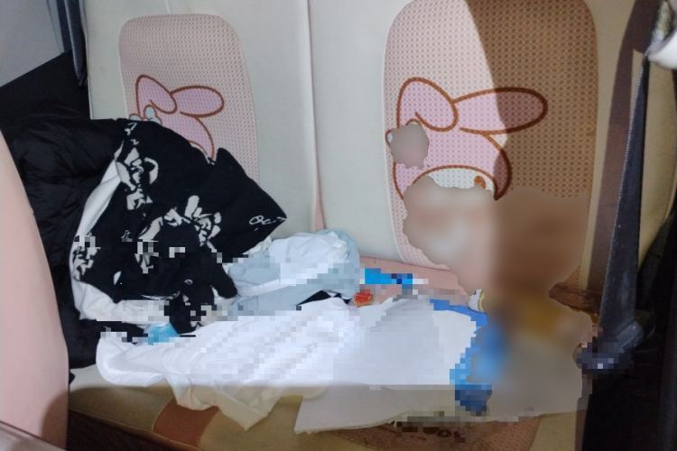 Used Wuling Hongguang MINIEV 2022 Easy Version Lithium Iron Phosphate Left Rear Seat