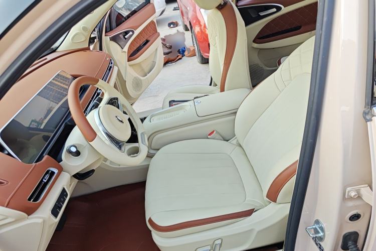 Used ORA Good Cat 2024 401 km Luxury Version