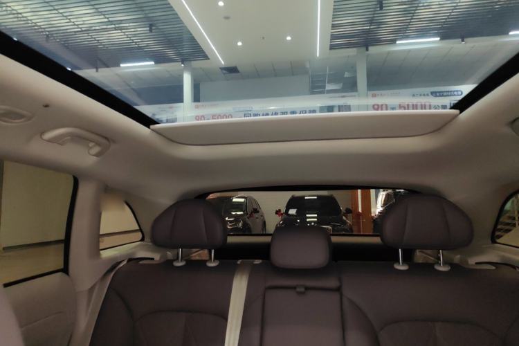 Used Leapmotor C11 2024 Range-Extended 300 Luxury Edition Headliner