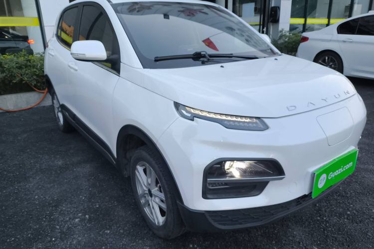 Used Dayun Yuehu 2022 30.66 kWh Two-Wheel Drive Standard Version
