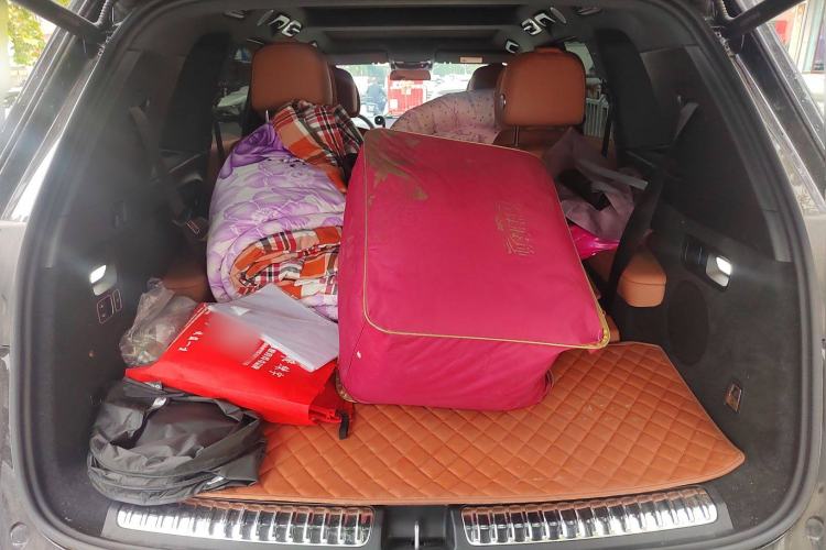 Used Li Auto L8 2024 Pro Model
