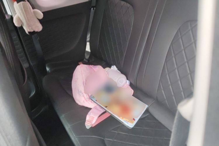 Used Wuling Hongguang MINIEV 2020 Enjoyment Model Lithium Iron Phosphate Left Rear Seat