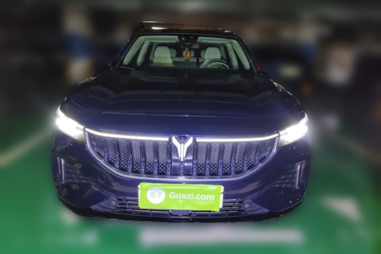 Used VOYAH FREE 2021 Four-Wheel Drive Standard Range-Extended Version
