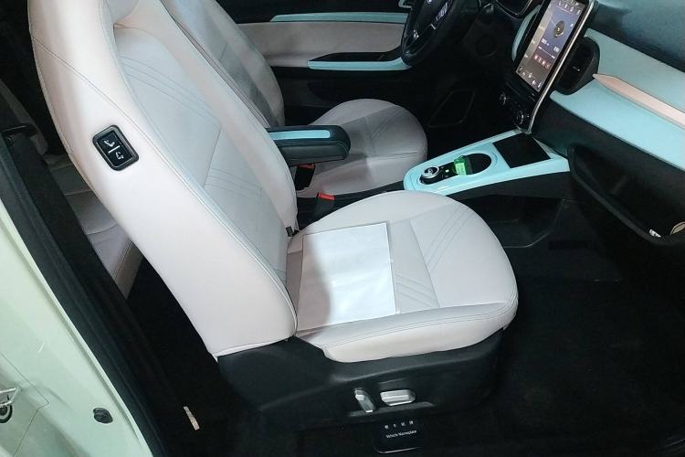 Used Chery Little Ant 2021 200 000-Yuan Ant Fan Edition Oxygen Version Lithium-Ion Battery 301 km