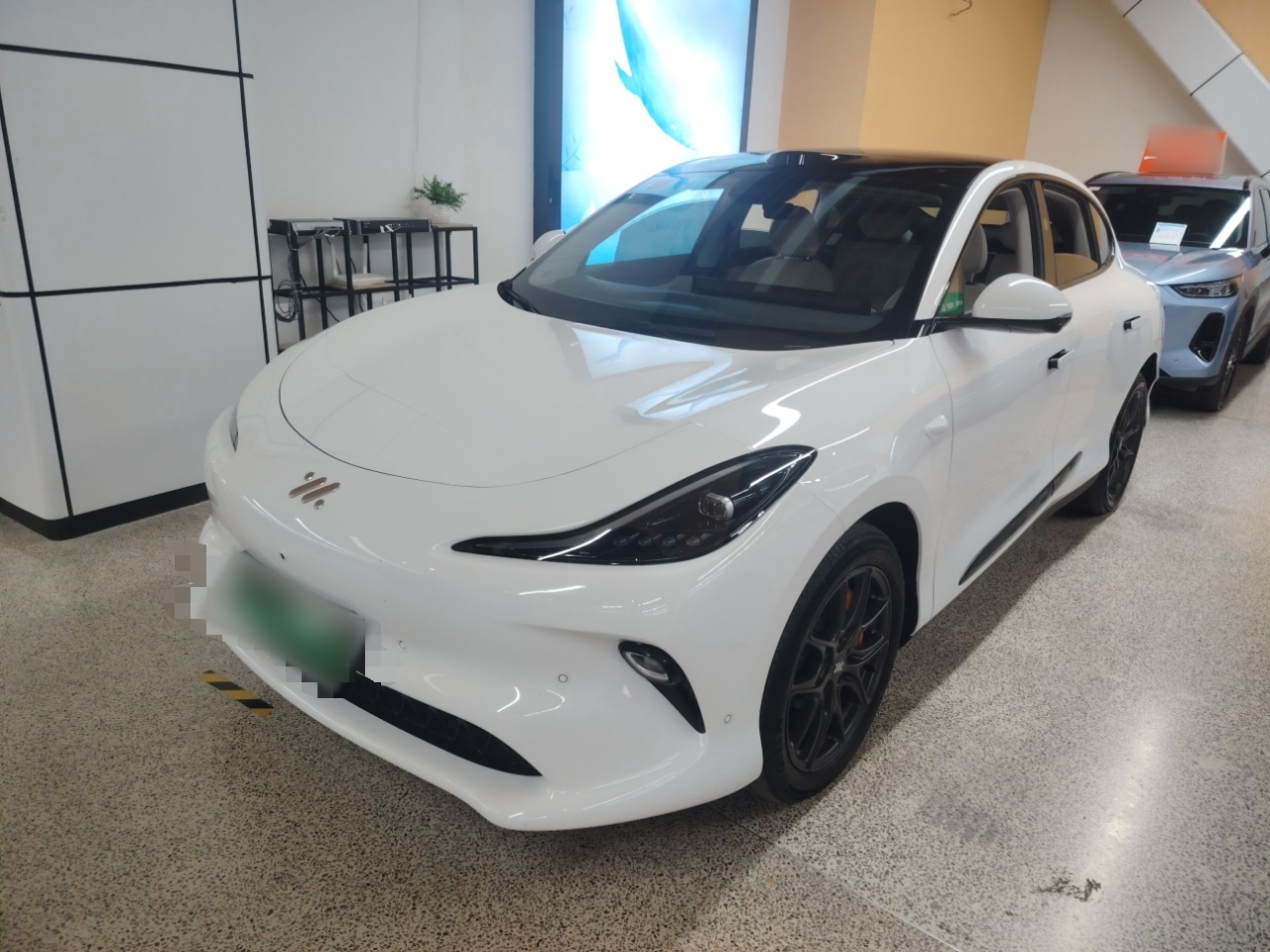 Parte inferior delantera