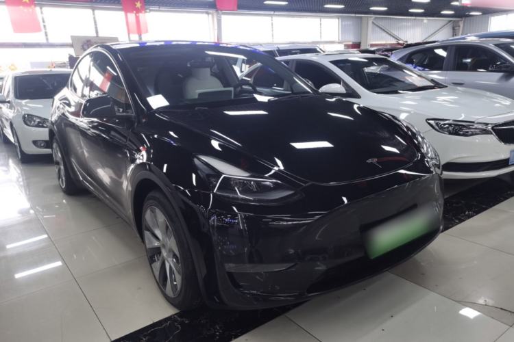 Used Tesla Model Y 2021 Standard Range Rear-Wheel Drive Version
