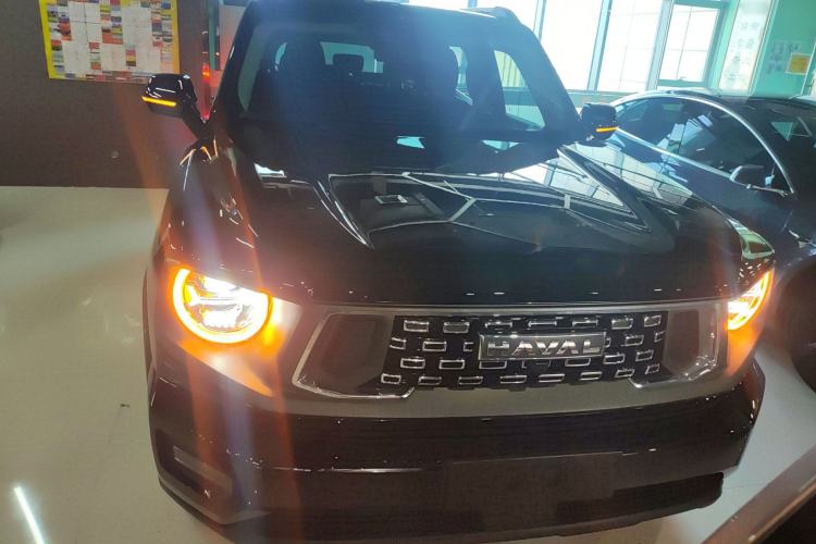 Used Haval H Dog 2023 2.0T Two-Wheel Drive Chaoye Version Plus