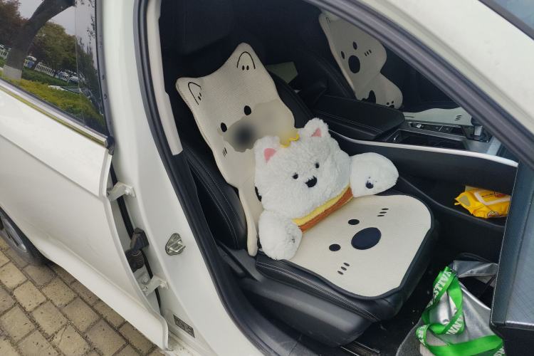 Used Geely Auto Preface 2023 2.0TD Luxury Version Right Front Seat