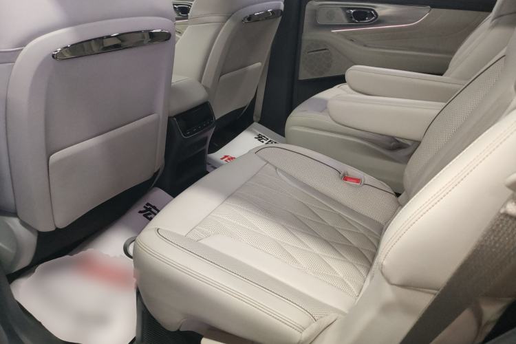 Used GAC Trumpchi GS8 2022 Double-Energy Series 2.0TM Two-Wheel Drive Prestige Edition (6 Seats) Left Rear Seat