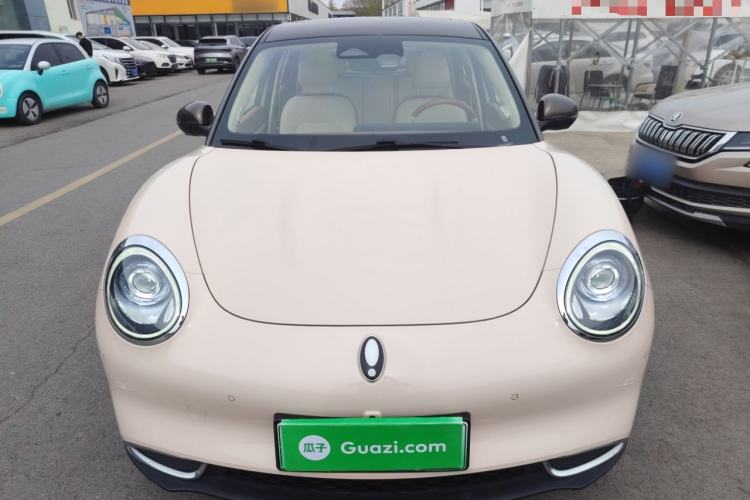 Used ORA Good Cat 2021 400km Standard Range Athena Edition Lithium-Ion Battery
