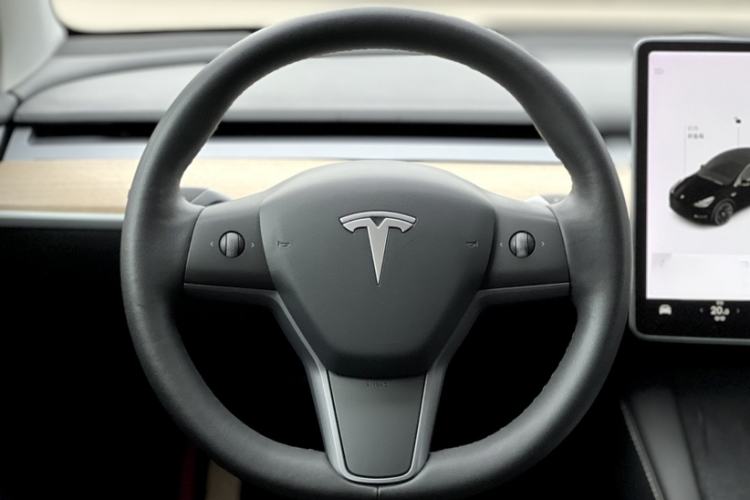 Used Tesla Model Y 2021 Standard Range Rear-Wheel Drive Version
