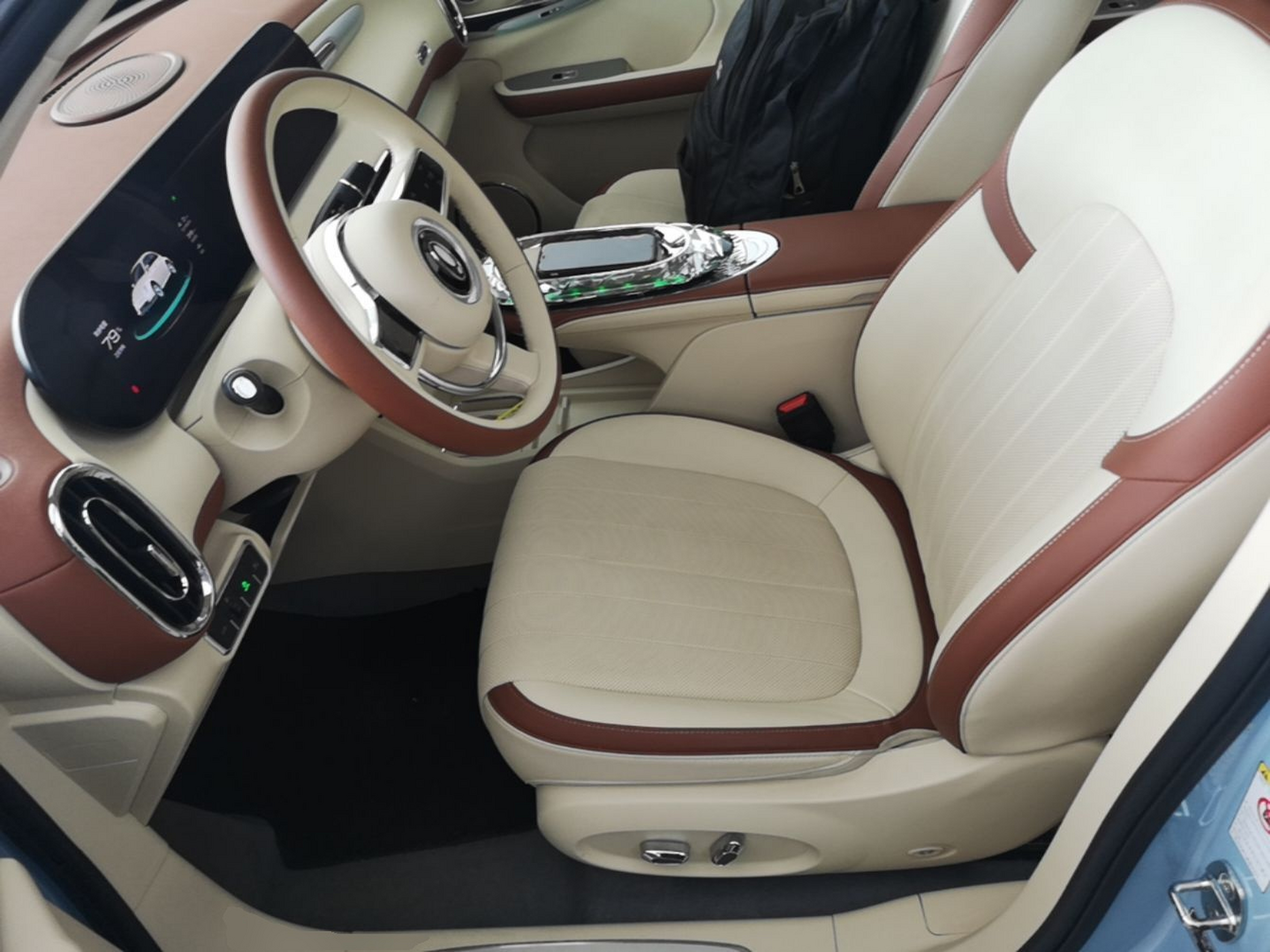 Interior delantero